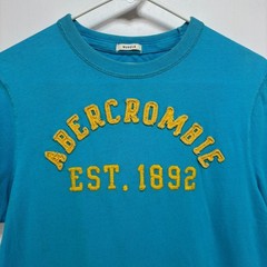 Vintage Abercrombie Muscle Fit Blue Tshirt Men’s Size L Embroidered Y2k