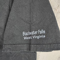 Vintage Eagle Nature Shirt Mens Large Bald Y2K Blackwater Falls West Virginia
