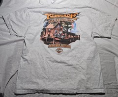 Vintage 2000 Harley Davidson Renegade Alexandria Louisiana T Shirt XL Hanes Beef