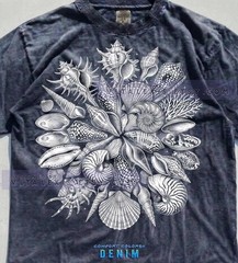 Old School Seashells Ammonite Comfort Tee