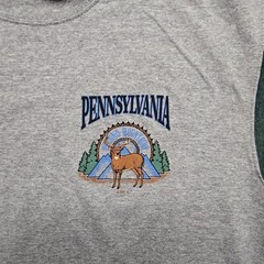 Vintage Pennsylvania Shirt Deer Nature Gray Green Mens Large Colorblock Tee