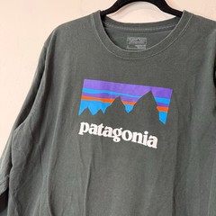 Patagonia Men’s Shop Sticker Long-Sleeve Tee Graphic Logo Dark Green Large