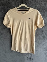 Lot of 12 HOLLISTER Mens Sz Small T Shirts Short Sleeve Mixed Colors