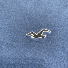Hollister T Shirt Mens Small Blue Must Have Collection Logo 100% Cotton