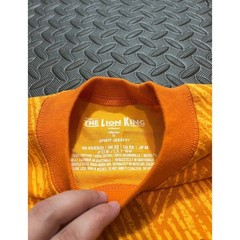 Spirit Jersey The Lion King Shirt Unisex XS Orange Circle of Life Graphic Tee