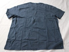 American Eagle Men’s Logo Lived-In Standard Fit T-Shirt CN6 Blue Large NWT