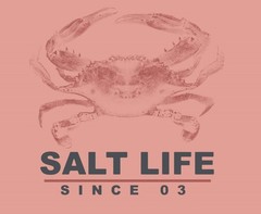 Salt Life Crabby Day S/S Pocket Crew Clay Adult L Live Salty Saltlife NWT