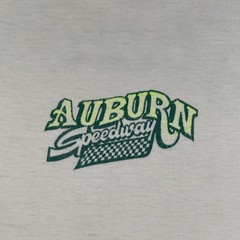 Vintage Speedway Racing Shirt Mens Large White Auburn Qualifier Signed 80s