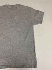 Florida Rooms MEns shirt Medium gray graphic funny