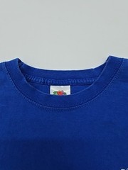 Fruit Of The Loom Unisex Kids T-Shirt Blue Graphic Vineyard Size M Good Condition