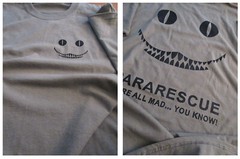 PARARESCUE “We”re All Mad” USAF Silk Screen T-Shirt XL Ultra Cotton TAN 6oz