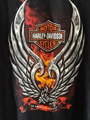 Vintage 2005 Harley-Davidson Malaysia T-Shirt – Men’s Black Graphic Tee Flame XL