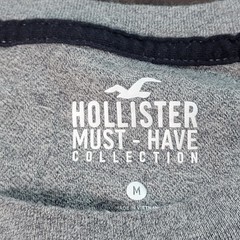 Hollister Must-Have Collection Mens Gray T-Shirt Size Medium