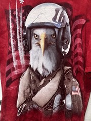 Eagle USA American Flag Jet Figher Pilot Military The Mountain Men’s XL