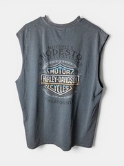 Harley Davidson Mens XL Gray Sleeveless T Shirt Work Sucks Lets Ride Biker Tee