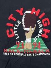 VTG City High Little Hawks Champion Football Single Stitch 1993 1994 T Shirt