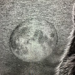 Wolf Pack T-Shirt Adult Small Gray DOM Midnight Retro Nature Tee 100% Cotton