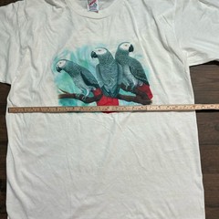 Vintage 1994 T Shirt Adult Xl White Nature Birds Outdoor Tropical Elliott Arts