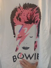 David Bowie Aladdin Sane T Shirt Licensed Rock Band Merchandise White Size L