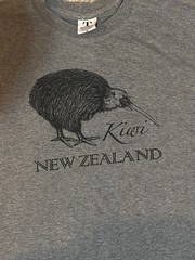 Kiwi Bird NZ Souv Graphic Tee Shirt XXL Gry Travel Vaca Tourist Wildlife Animal