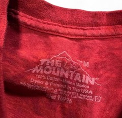 The Mountain Phoenix Wolf Tie Dye Graphic T-Shirt