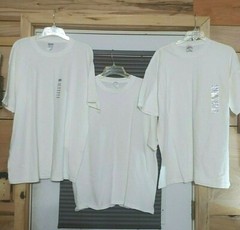 Gildan/Hanes mans white t shirts total 3 size xl