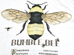 Vintage 90s Bumble Bee Insect Anatomy Art Novelty T Shirt Size XL