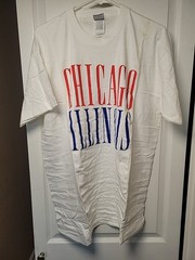 Vtg Fruit Of The Loom Chicago Illinois T Shirt Image Large