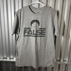 Dwight Schrute False The Office Men’s Size Large Grey Graphic T-Shirt