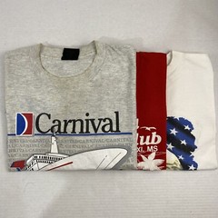 Wholesale Lot of 30 Vintage Short Sleeve Tee Shirts (Sizes In Description)