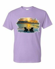 Adult DryBlend® T-Shirt – ( WISH YOU WERE HERE – COLOR CHANGING SOLAR / BEACH /