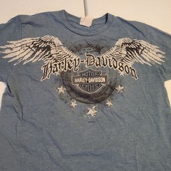 Harley-Davidson Hyderabad India Eagle Flame Wings T-Shirt Men’s Medium Blue Y2K