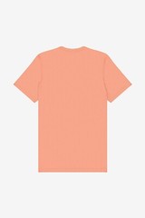 Bella + Canvas 3001CVC Unisex T Shirt Retail Fit Heather Stylish Tee CVC SUNSET