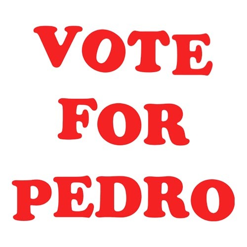 Napolean Dynamite – Vote for pedro