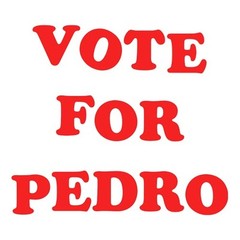 Napolean Dynamite – Vote for pedro