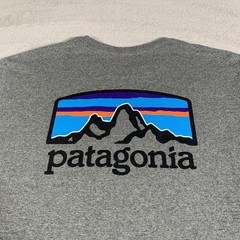 Patagonia Shirt Mens Medium Gray Responsibili-Tee P-6 Logo Mountain Short Sleeve