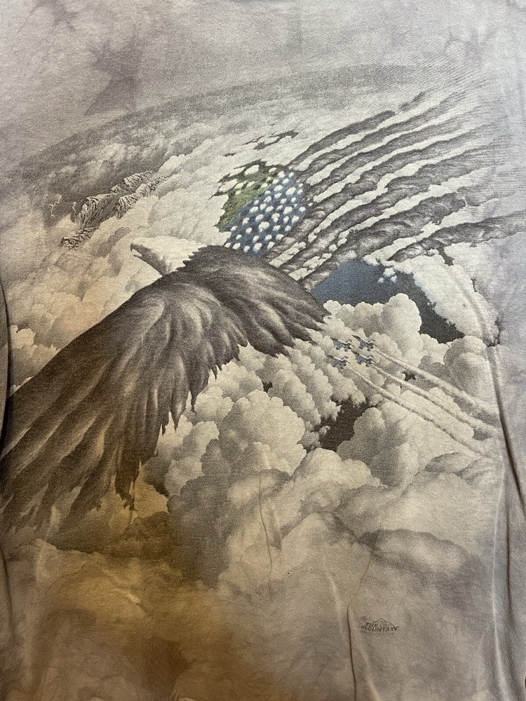 The Mountain eagle American flag and jets in the sky graphic t-shirt mens size M