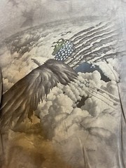 The Mountain eagle American flag and jets in the sky graphic t-shirt mens size M