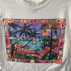 Delta Mens T Shirt Destination Graphic White Large Cotton Short Sleeve Crew