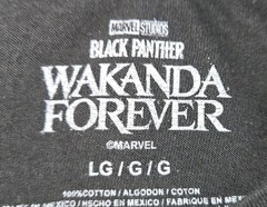 Mens Marvel Wakanda Forever Short Sleeve T Shirt Black Large
