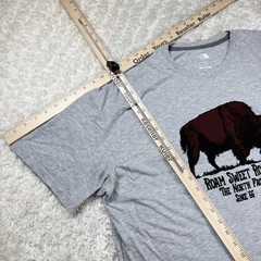 The North Face T Shirt Mens 2XL Gray Roam Bison Classic Fit Dadcore Animalcore
