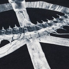 Carcass black T-Shirt, Heartwork (1993). Melodic Death Metal, Death ‘n’ roll.