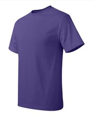 Hanes 5250 4XL Authentic Short Sleeve Men’s Cotton T-Shirt Purple Pit to Pit 29″