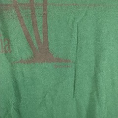 Vintage Palm Springs, California DSW 1990 Single Stitch Green Shirt Mens 2x 100%
