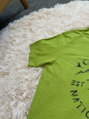 The North Face Mens Green Yosemite Bear Graphic Slim Tee Size L/G