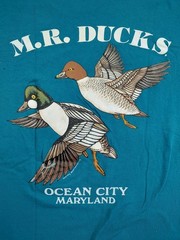 90’s Vintage Shirt M.R. Ducks OCMD ’95 Teal Graphic Chest Pocket Duck Tee Sz XL