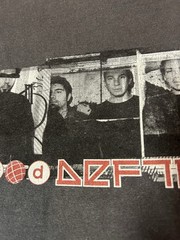 Vintage 2000 Deftones White Pony band t-shirt GIANT tag