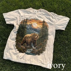 Vintage Bear Mountain Comfort Tee Graphic Shirt Nature Outdoors Wildlife Gift