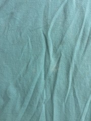 Crown & Ivy Mint Green Mens L Dog Golden Retriever Cotton Coastal Nature T-Shirt