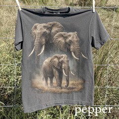 Retro Majestic Elephant Comfort Tee Graphic Shirt Men Women
